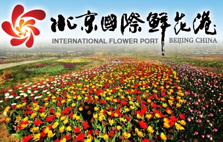 北京国际鲜花港